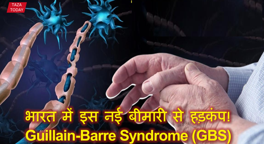 GBS Virus