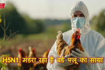 H5N1 Bird flue