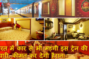 Maharaja Train